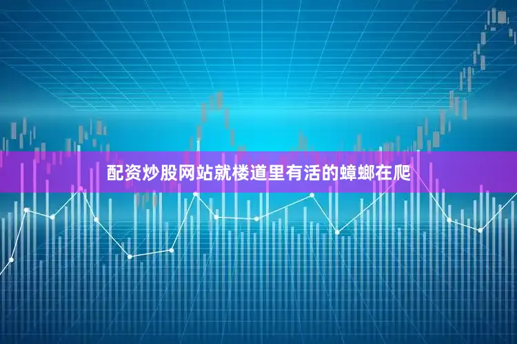 配资炒股网站就楼道里有活的蟑螂在爬