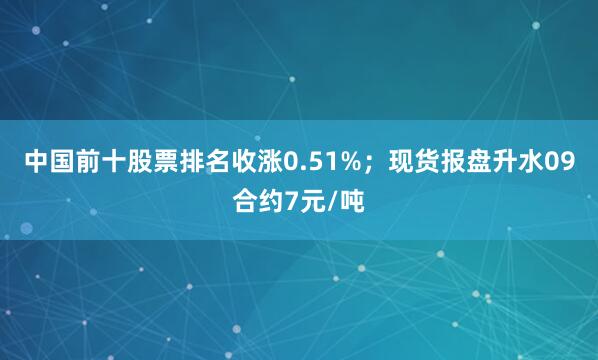 中国前十股票排名收涨0.51%；现货报盘升水09合约7元/吨