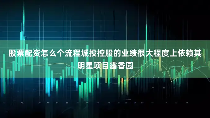 股票配资怎么个流程　　城投控股的业绩很大程度上依赖其明星项目露香园