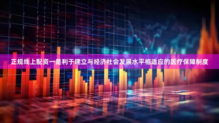 正规线上配资一是利于建立与经济社会发展水平相适应的医疗保障制度